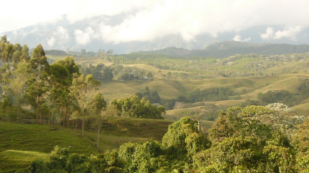 On the way to Pereira