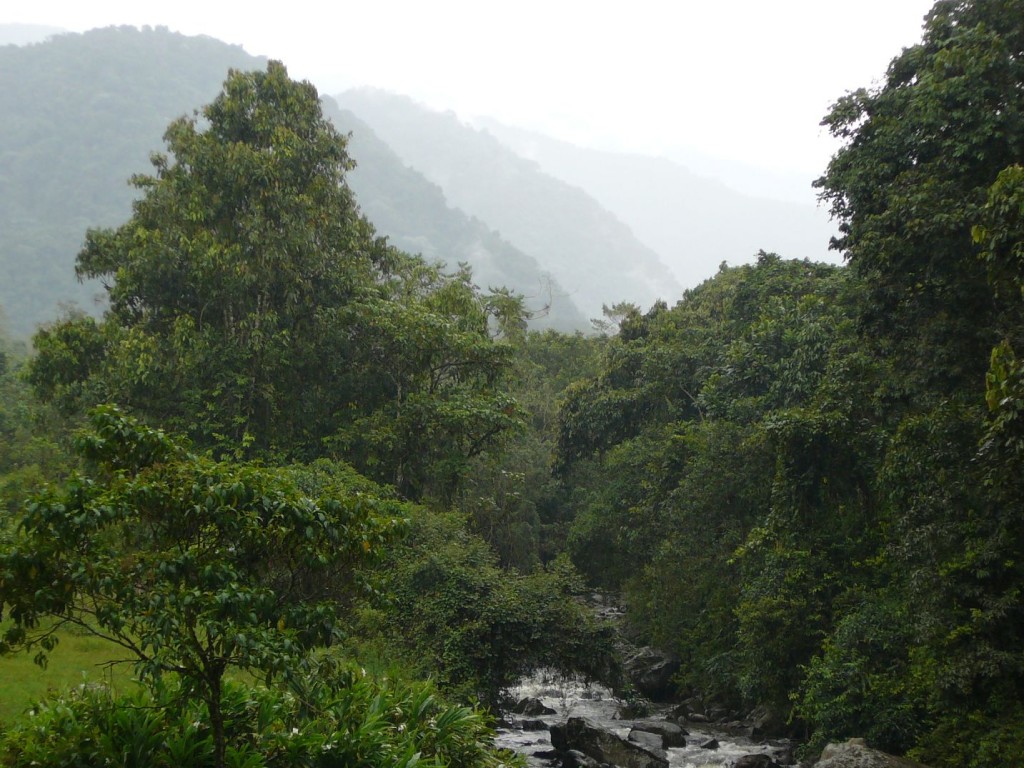 Cuenca de Rio Otún