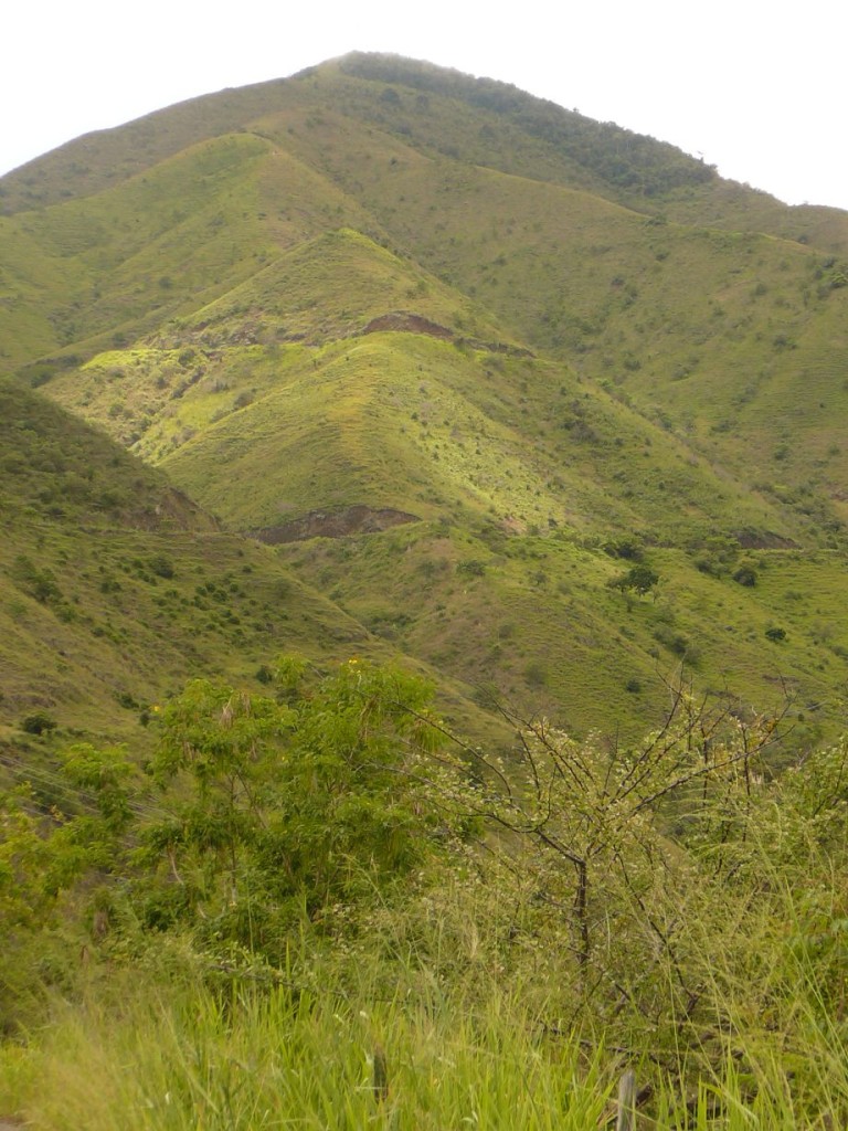EjeCafetero (12)