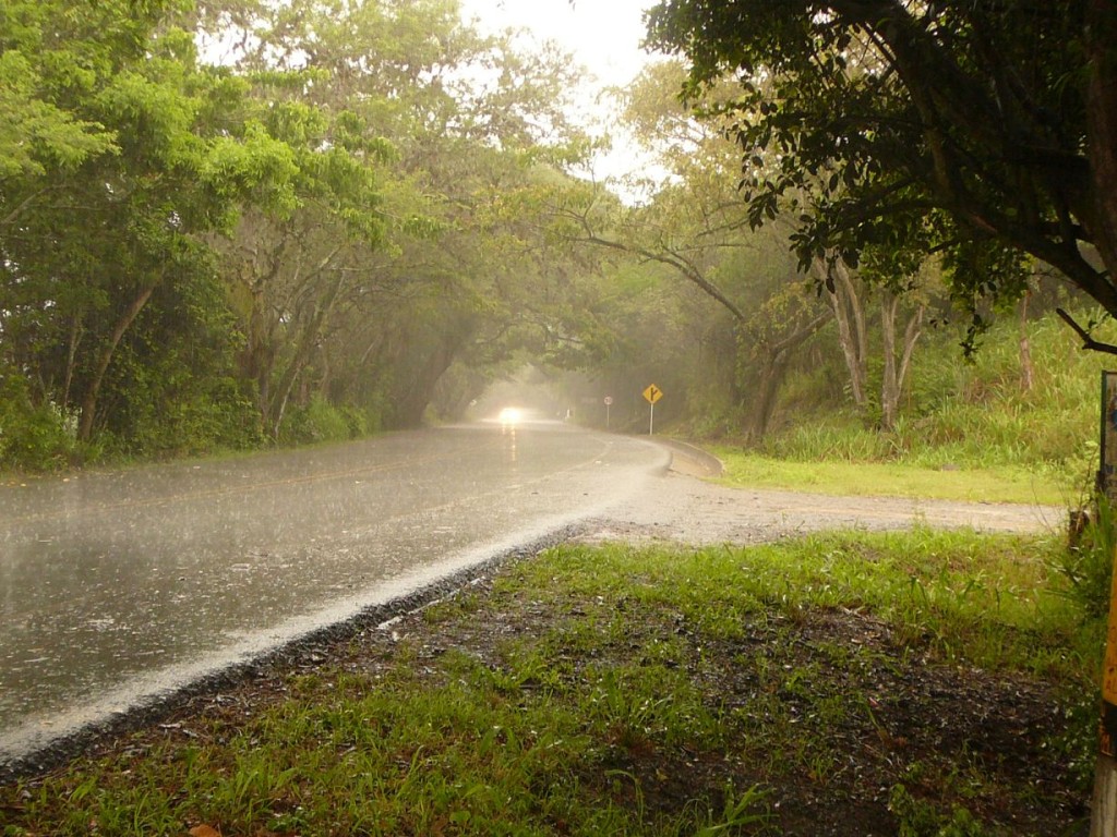 Just in case you didn't know what rain is...