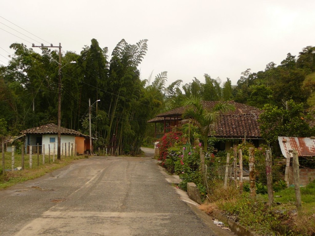 EjeCafetero (6)