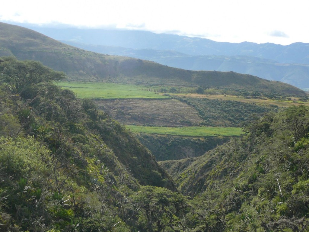 Ipiales-Ibarra (12)