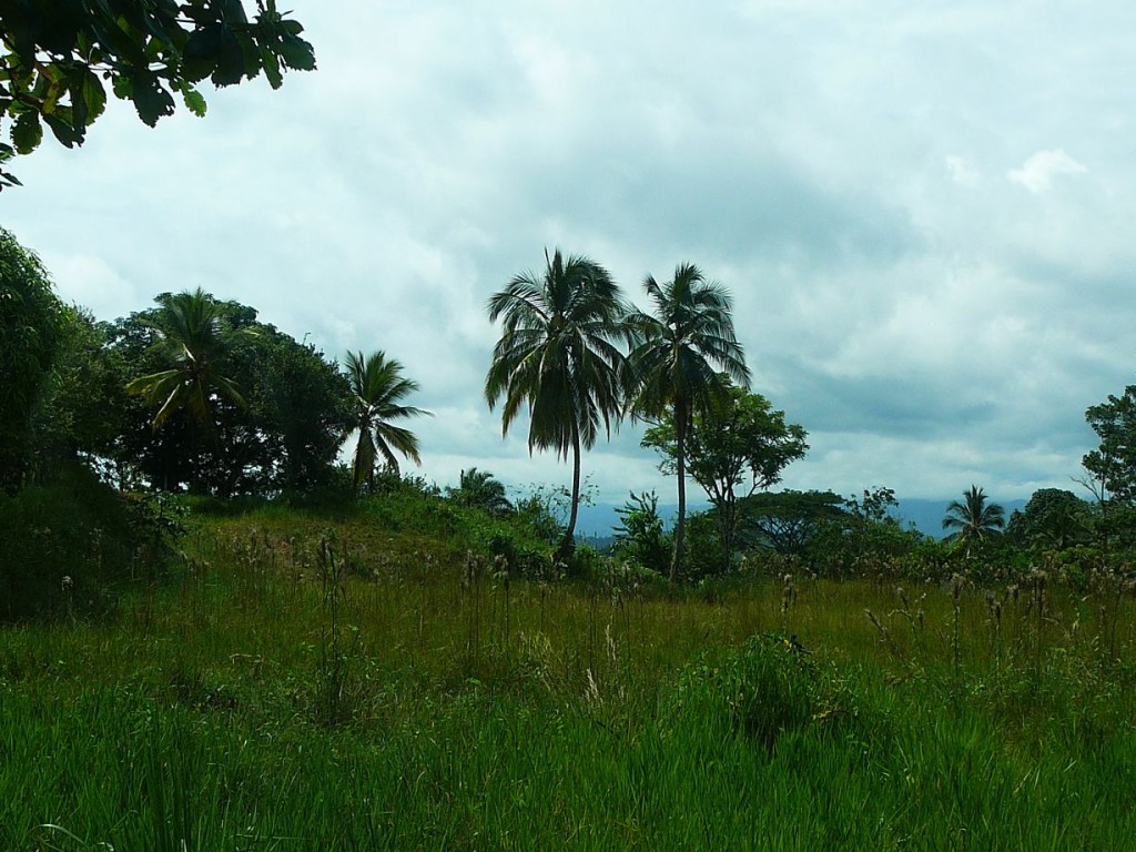 Medellin-Cartagena (2)