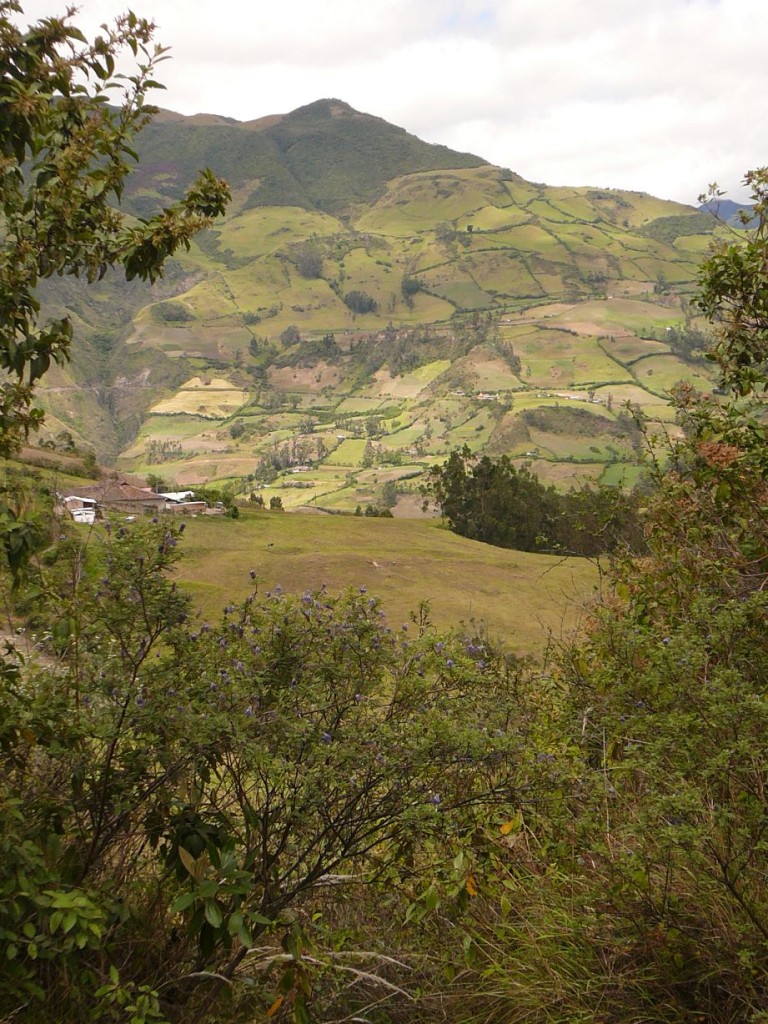 PastoIpiales (3)