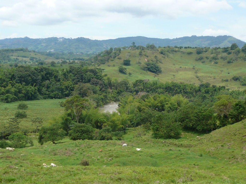 PereiraMedellin (2)