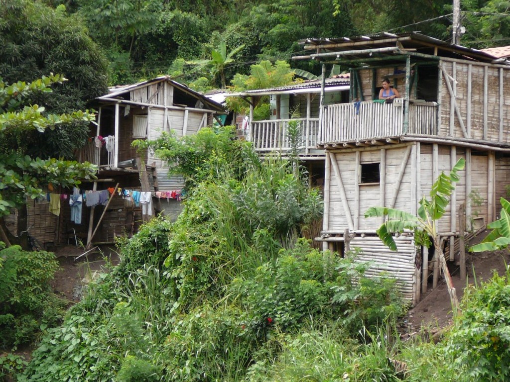 Along the Río Cauca