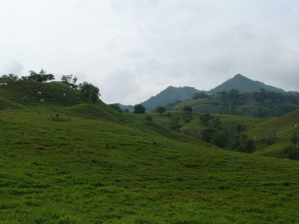 Green meadows after La Pintada