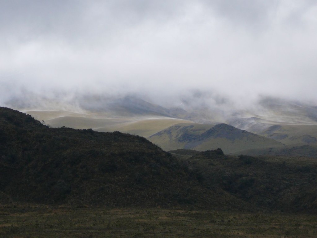 Cotopaxi (14)