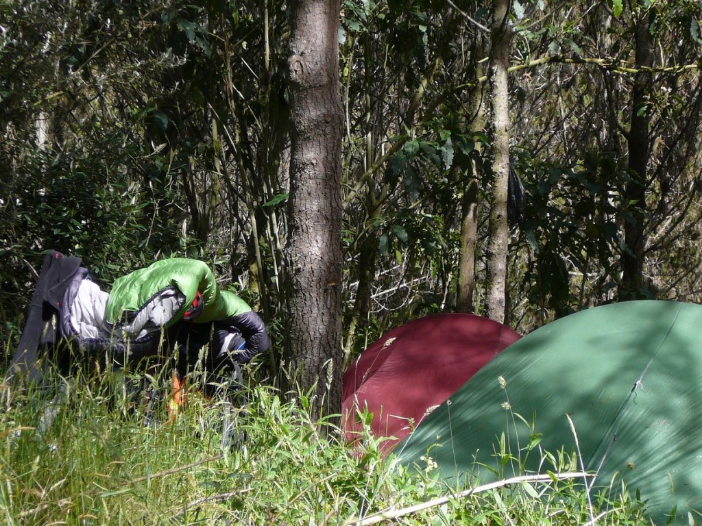 Camping in the middle of the woods