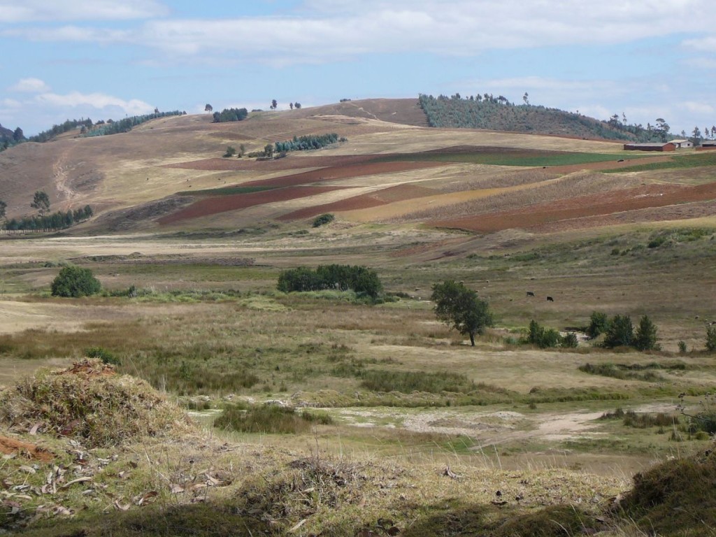 Ocher on the way to Huamachuco